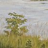 Lake Shelbyville (June)