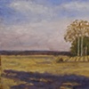 Afternoon (East)