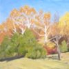 Near the Paulson residence -- Sold