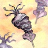 Web Icon 1