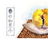 Wagashi Japanese Dessert