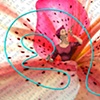 Digital Collage II - 2004-2007