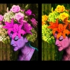 Three Muses