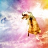 Carried Away
