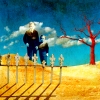 Edgar's Playground