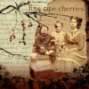 Cherry Tree
