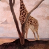 'Giraffe'