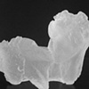 Le Baiser-clear crystal