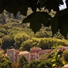 Wine Country View