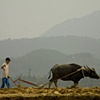 Farmer