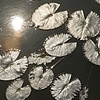 Lilypads