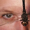 Insect Collector