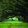 LANDSCAPE & ARCHITECTURE