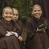 Buddhist Monastery