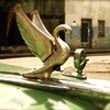 Hood Ornament