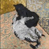 Cat Hoarder, Detail