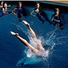 Diving Flop