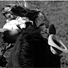 Bareback
