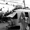 Pigeon Man