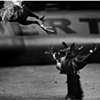 Combat