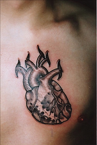 Heart