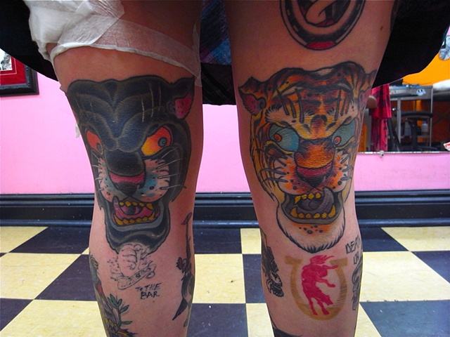 two cats