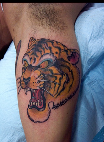 tiger head