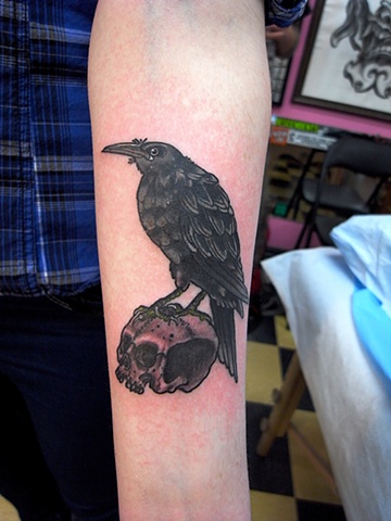 bird