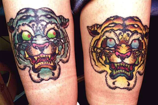 Two Tiger Heads