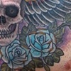 skull & wings