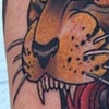 tiger head