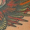 Hourglass wings