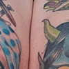 hyottoko & hanya knees
