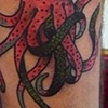 squid