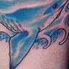 shark