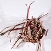 Nesting Nests