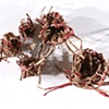 Nesting Nests (Open)