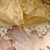 Be Still (detail)