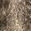 Anticipation (State 2)