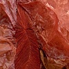 Soft Spot (detail)