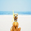 Scooby Doo (WB)