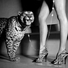 Azzedine Alaia