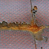 Untitled (bench)