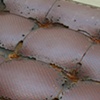 Untitled (bench)