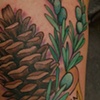 pine cone by katie davis