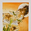 "Locust Swarm" Watercolor by Katie Davis