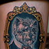 dog portrait