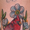 cardinal