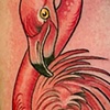 Flamingo by Katie Davis