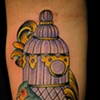 bird and cage 